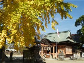 紅葉の四王子神社